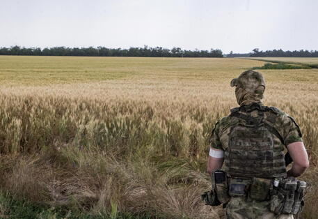 epa10013852 A Russian serviceman keeps watch in front of a wheat field near Melitopol, Zaporizhia region, Ukraine, 14 June 2022 (Issued on 15 June 2022). The conflict in Ukraine has affected the availability and price of wheat worldwide. The Food and Agriculture Organization (FAO) of the United Nations said in its 10 June note assessing the risks emanating from the conflict in Ukraine that 'the current war raises concerns over whether crops will be harvested. It has already led to the closures of ports and oilseed crushing operations, affecting products intended for the export markets'. These are taking a toll on the country's exports of grains and vegetable oils. The city of Melitopol is located on the territory controlled by the troops of the Russian Federation and the city is administered by the Military-Civilian Administration controlled by Russia. On 24 February 2022 Russian troops entered the Ukrainian territory in what the Russian president declared a 'Special Military Operation', starting an armed conflict that has provoked destruction and a humanitarian crisis. EPA/SERGEI ILNITSKY